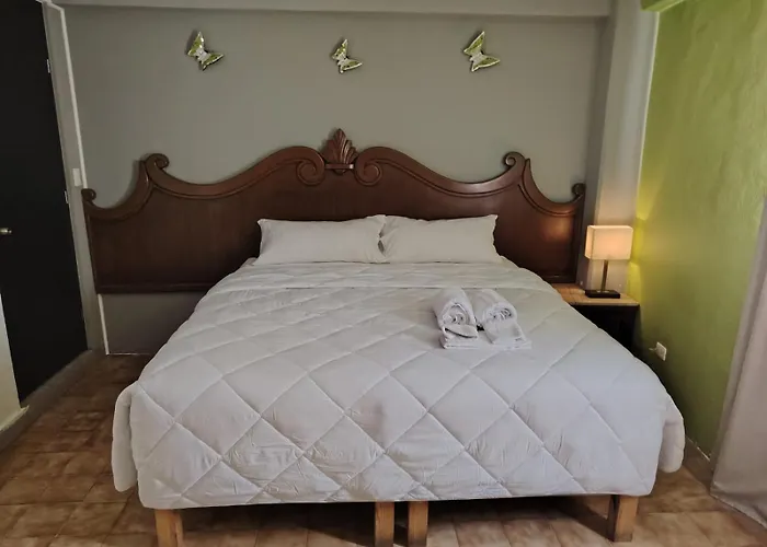 Cabo Tortuga Boutique Hotel