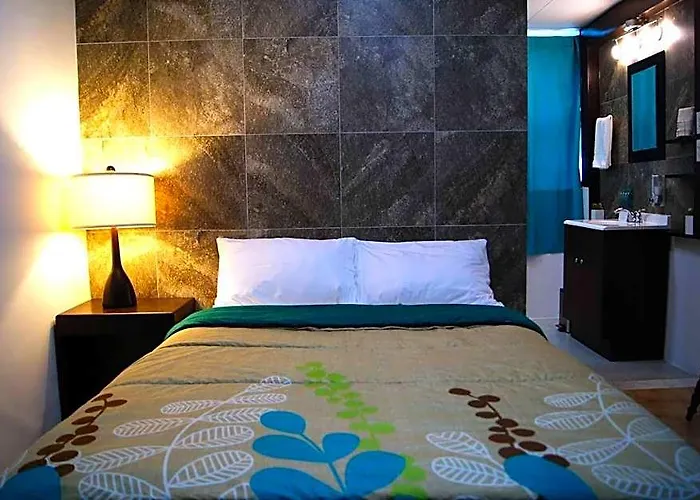 Cabo Tortuga Boutique Hotel